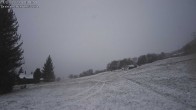 Archiv Foto Webcam Rosswald - Termen 11:00