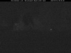 Archived image Webcam Stork Nest at the Bavarian Forest National Park 03:00