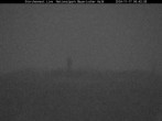 Archived image Webcam Stork Nest at the Bavarian Forest National Park 05:00