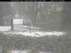 Archiv Foto Webcam Bayerischer Wald: Blick auf das Storchennest in Grafenau 09:00