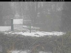 Archiv Foto Webcam Bayerischer Wald: Blick auf das Storchennest in Grafenau 11:00