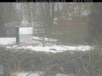 Archiv Foto Webcam Bayerischer Wald: Blick auf das Storchennest in Grafenau 13:00