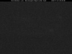 Archived image Webcam Stork Nest at the Bavarian Forest National Park 03:00