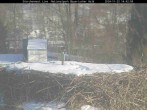 Archiv Foto Webcam Bayerischer Wald: Blick auf das Storchennest in Grafenau 13:00