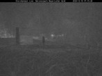 Archived image Webcam Stork Nest at the Bavarian Forest National Park 06:00