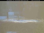 Archived image Webcam Stork Nest at the Bavarian Forest National Park 07:00