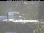 Archived image Webcam Stork Nest at the Bavarian Forest National Park 09:00