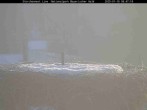 Archived image Webcam Stork Nest at the Bavarian Forest National Park 07:00