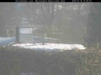 Archived image Webcam Stork Nest at the Bavarian Forest National Park 09:00