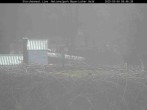 Archived image Webcam Stork Nest at the Bavarian Forest National Park 07:00