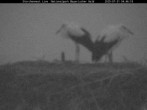 Archiv Foto Webcam Bayerischer Wald: Blick auf das Storchennest in Grafenau 03:00