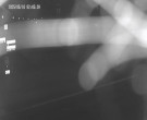 Archiv Foto Webcam Körbecke: Blick auf die Seetreppe am Möhnesee 01:00