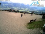Archiv Foto Webcam Bergstation Mittagbahn - Blick nach Süden 11:00