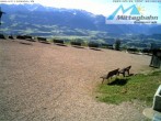 Archiv Foto Webcam Bergstation Mittagbahn - Blick nach Süden 07:00