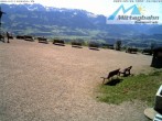 Archiv Foto Webcam Bergstation Mittagbahn - Blick nach Süden 09:00