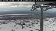 Archived image Webcam Big Wood - Chair lift K4 14:00