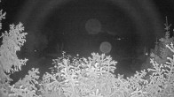 Archiv Foto Webcam Blick Fuschlsee von Hotel Waldhof 23:00