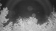 Archiv Foto Webcam Blick Fuschlsee von Hotel Waldhof 01:00