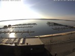 Archiv Foto Webcam Senftenberger See - Lausitzer Seenland 09:00