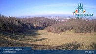 Archived image Webcam Wernigerode - View of the Zwölfmorgental ski resort 12:00