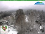 Archived image Webcam Oberweissbach - View Froebelturm 07:00