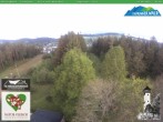 Archived image Webcam Oberweissbach - View Froebelturm 06:00
