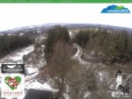 Archiv Foto Webcam Oberweißbach: Fröbelturm 11:00