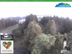 Archiv Foto Webcam Oberweißbach: Fröbelturm 03:00