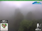 Archiv Foto Webcam Oberweißbach: Fröbelturm 19:00