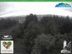 Archiv Foto Webcam Oberweißbach: Fröbelturm 03:00