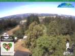 Archived image Webcam Oberweissbach - View Froebelturm 11:00