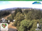 Archived image Webcam Oberweissbach - View Froebelturm 13:00