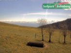 Archived image Webcam Balmberg: View Alps 11:00