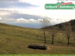 Archived image Webcam Balmberg: View Alps 13:00