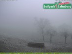 Archiv Foto Webcam Seilpark Balmberg 08:00