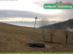 Archiv Foto Webcam Seilpark Balmberg 07:00