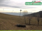 Archiv Foto Webcam Seilpark Balmberg 11:00