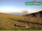 Archiv Foto Webcam Seilpark Balmberg 17:00