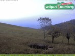 Archiv Foto Webcam Seilpark Balmberg 03:00