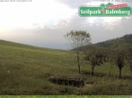 Archiv Foto Webcam Seilpark Balmberg 05:00