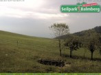 Archiv Foto Webcam Seilpark Balmberg 07:00