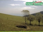 Archiv Foto Webcam Seilpark Balmberg 11:00