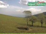 Archiv Foto Webcam Seilpark Balmberg 13:00