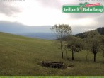 Archiv Foto Webcam Seilpark Balmberg 15:00