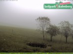 Archiv Foto Webcam Seilpark Balmberg 05:00