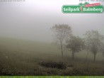 Archived image Webcam Balmberg: View Alps 07:00