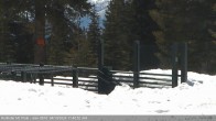 Archived image Webcam Northstar California: Summit Deck 11:00