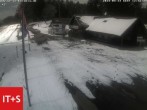 Archived image Webcam Ski hut Kniebis 11:00