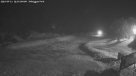 Archiv Foto Webcam Skigebiet Mount Baw Baw - Toboggan Park 23:00