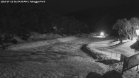 Archiv Foto Webcam Skigebiet Mount Baw Baw - Toboggan Park 01:00